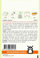 Andijvie nuance 1g - afbeelding 2