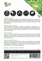 Andijvie nuance 1g - afbeelding 2