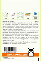 Andijvie st laurent 3g - afbeelding 2