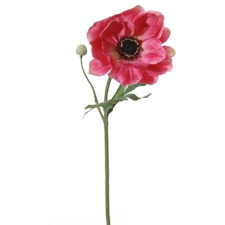 Anemoonsteel l42cm paars