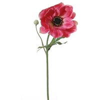 Anemoonsteel l42cm paars