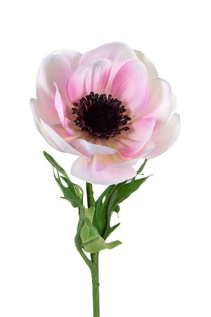 Anemoonsteel l45cm roze