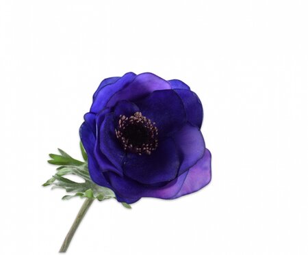 Anemoonsteel l53cm paars