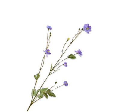Anemoonsteel l99cm lavendel