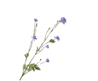 Anemoonsteel l99cm lavendel