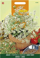 Anijs 3g - afbeelding 4