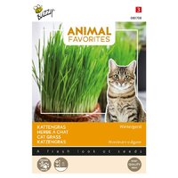 Animal favorites kattengras - afbeelding 1