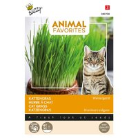 Animal favorites kattengras