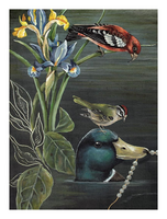 Ansichtkaart gold edition jet-06