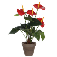 Anthurium Dia30 H40 CM rood (Zijde-plant)