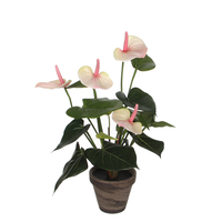Anthurium H40 CM licht roze (Zijde-plant)