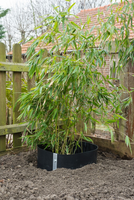 Anti-root wortelbeschermng h0.70b5m - afbeelding 2