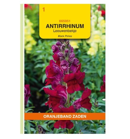Antirrhinum black prince 0.1g