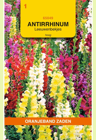 Antirrhinum hoog gemengd - afbeelding 1