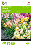 Antirrhinum majus pumilum tom 0.5gram - afbeelding 1