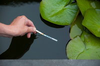 Aqua multi-test - afbeelding 2