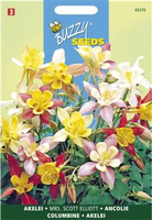 Aquilegia hybrida mrs scott el 0.5gram - afbeelding 5