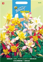 Aquilegia hybrida mrs scott el 0.5gram - afbeelding 4
