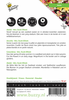 Aquilegia hybrida mrs scott el 0.5gram - afbeelding 2