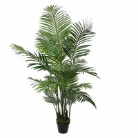 Areca in pot d80h160cm groen (Zijde-plant)