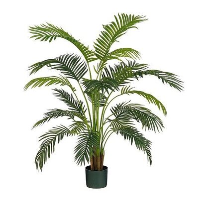 Areca palm in pot d50h134cm groen in&outdoor