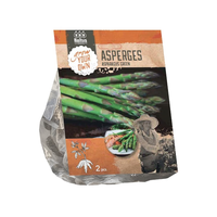 Asparagus groen 2st - afbeelding 2