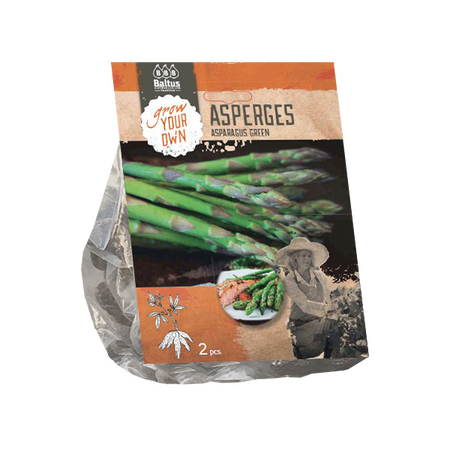 Asparagus groen 2st - afbeelding 1