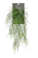 Asparagus hanger l54cm groen header (Zijde-plant)