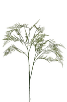 Asparagussteel l100cm groen