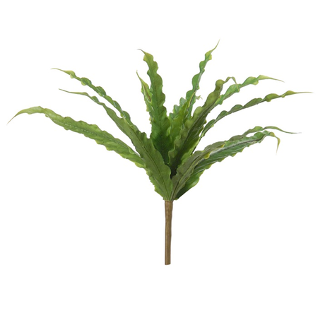 Asplenium h25d40cm groen (Zijde-plant)