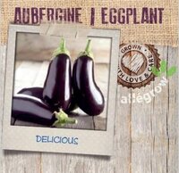 Aubergine - afbeelding 2