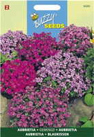 Aubrietia hybrida mix 0.15gram - afbeelding 3