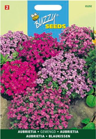 Aubrietia hybrida mix 0.15gram - afbeelding 4