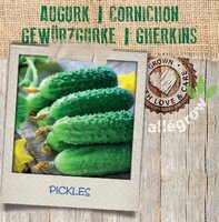 Augurk - afbeelding 2