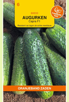 Augurk capra f1 hybride 0.75g - afbeelding 1