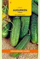 Augurk hokus 2g