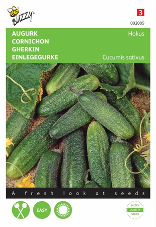 Augurk hokus 2g - afbeelding 1