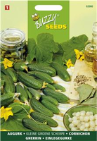 Augurk national klein groen 2.5g - afbeelding 4