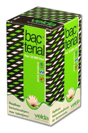 Bacterial 200 ml - afbeelding 1