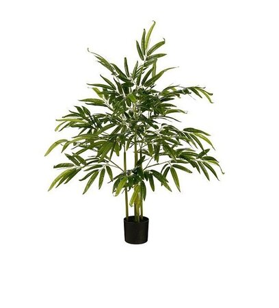 Bamboe in pot d50h107cm groen in&outdoor