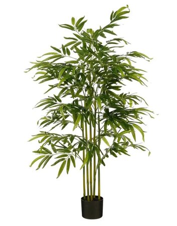 Bamboe in pot d60h150cm groen in&outdoor