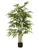 Bamboe in pot d60h150cm groen in&outdoor