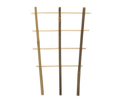 Bamboeplantrekje h35b18cm s2st