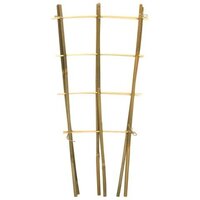 Bamboeplantrekje h60b24cm s2st