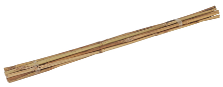 Bamboestokken 60cm d6-8 mm 10x