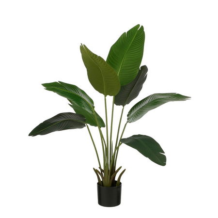 Bananen boom in pot d30h110cm groen