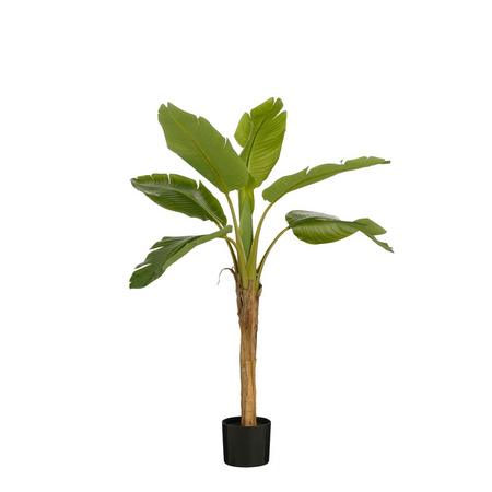 Bananen boom in pot d70h120cm groen
