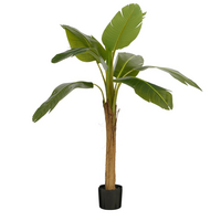 Bananen boom in pot d90h155cm groen
