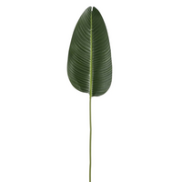 Bananenbladtak l110cm groen