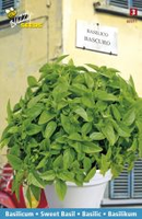 Basilicum bascuro 1.5g - afbeelding 3